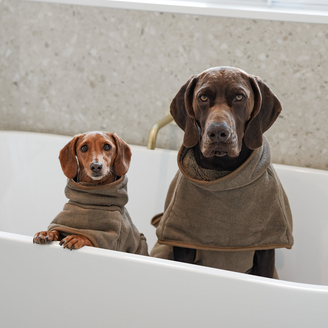 Apparel – Pointer & Hound