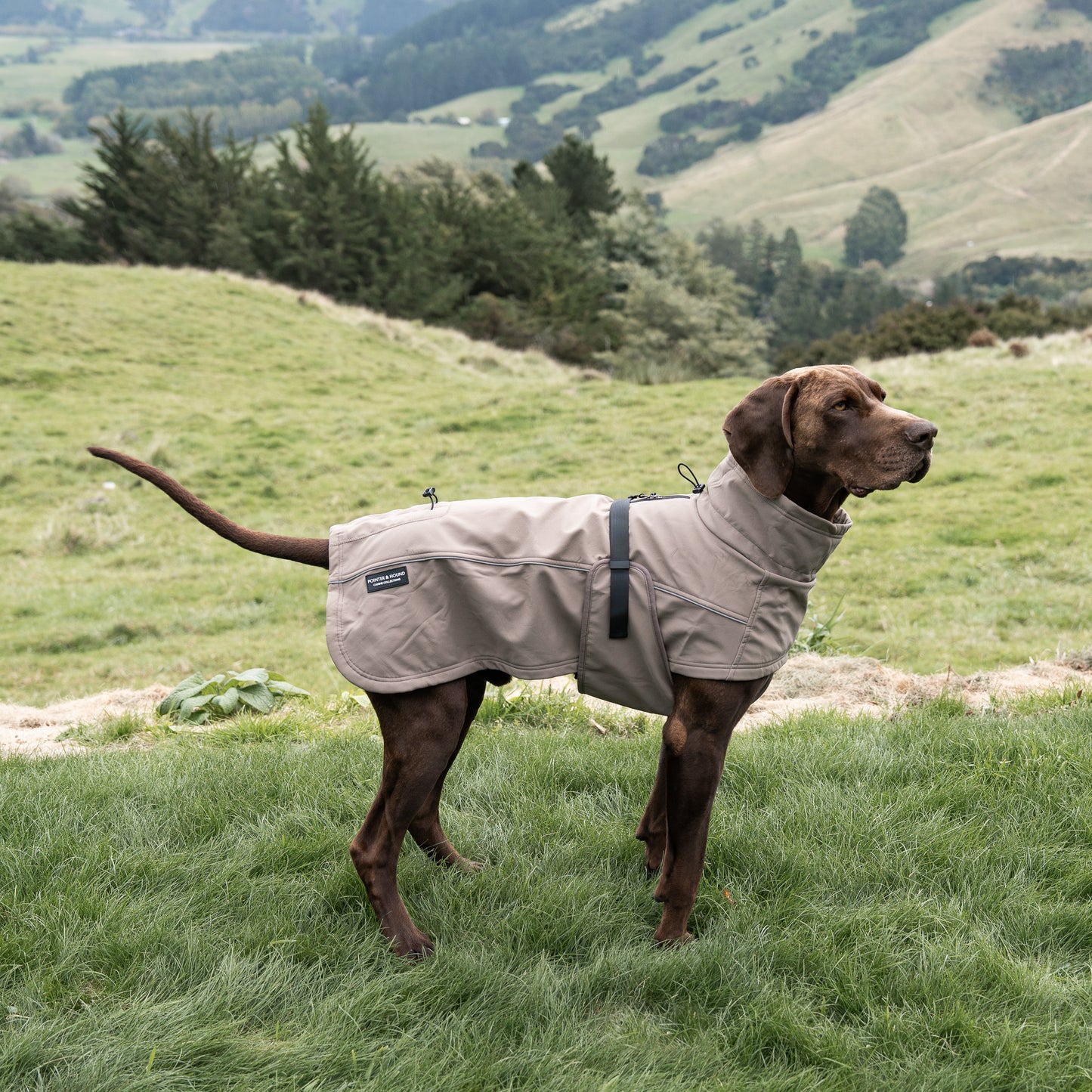 Waterproof Jacket - Mushroom