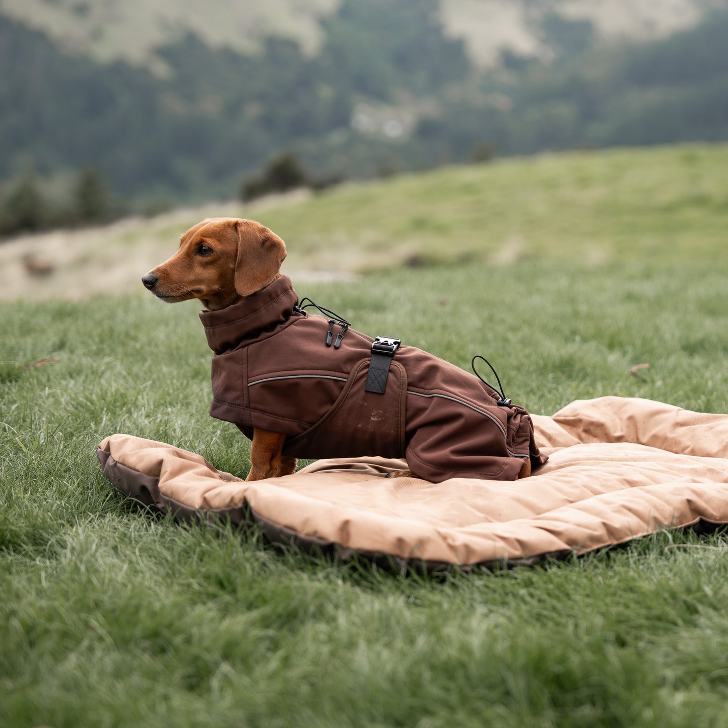 Oxford Travel Mat