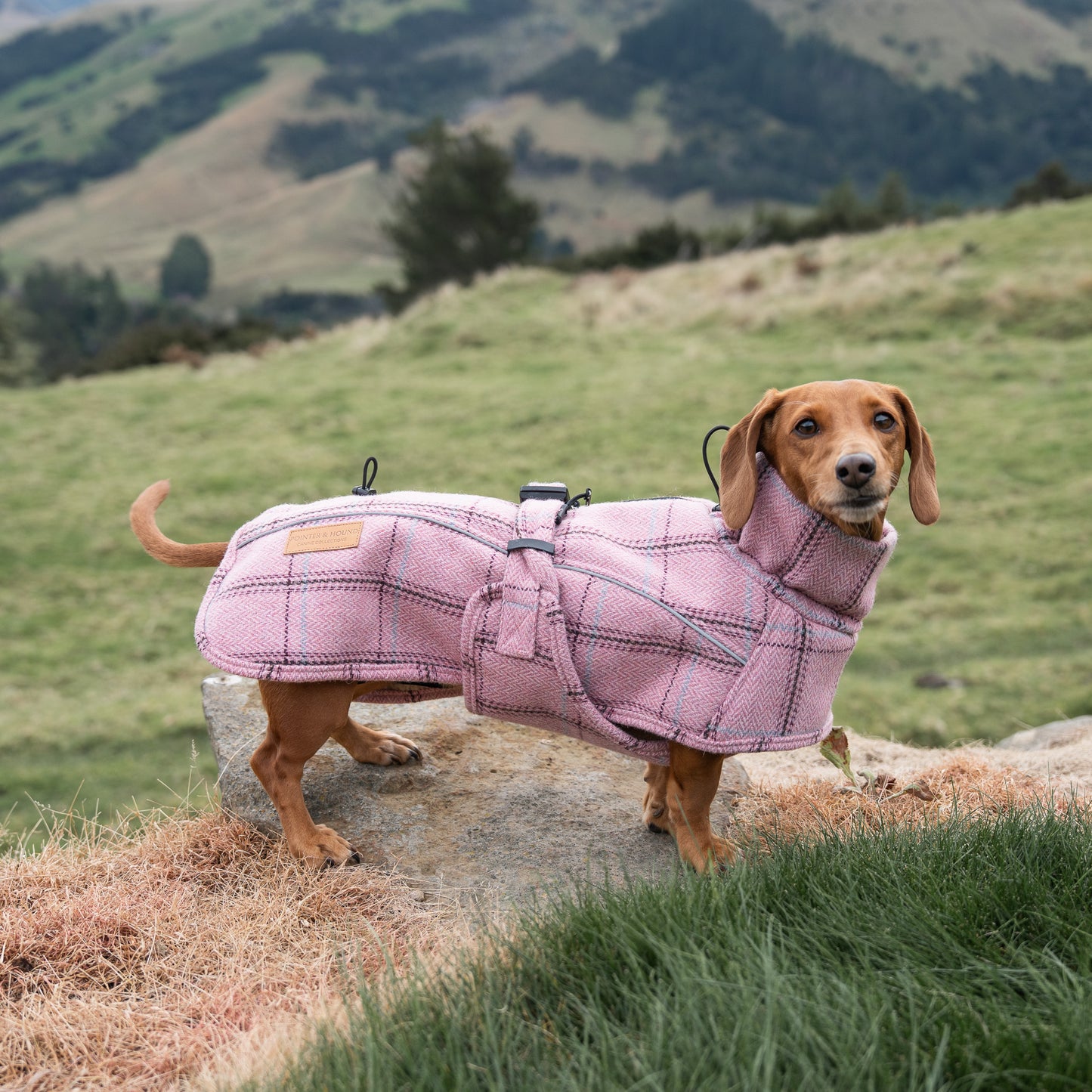 Highland Coat - Pink