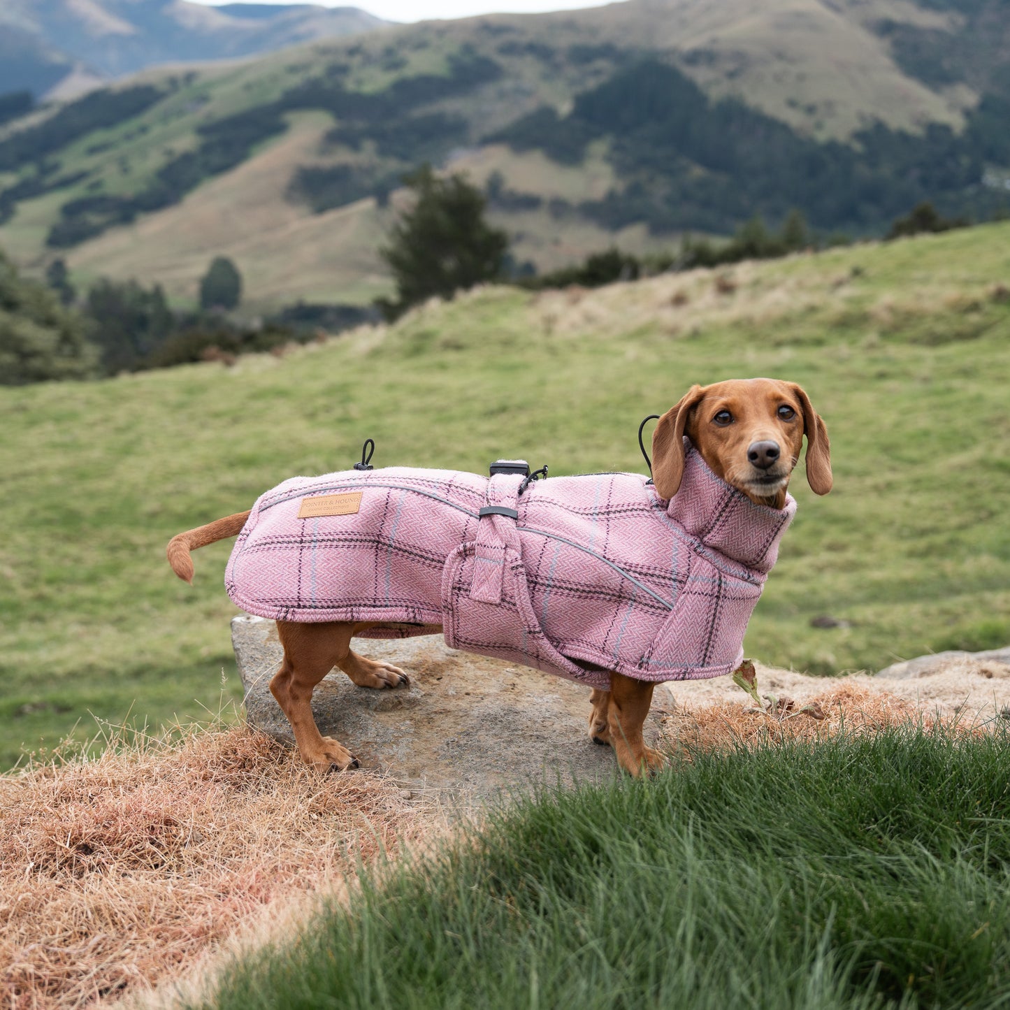 Highland Coat - Pink