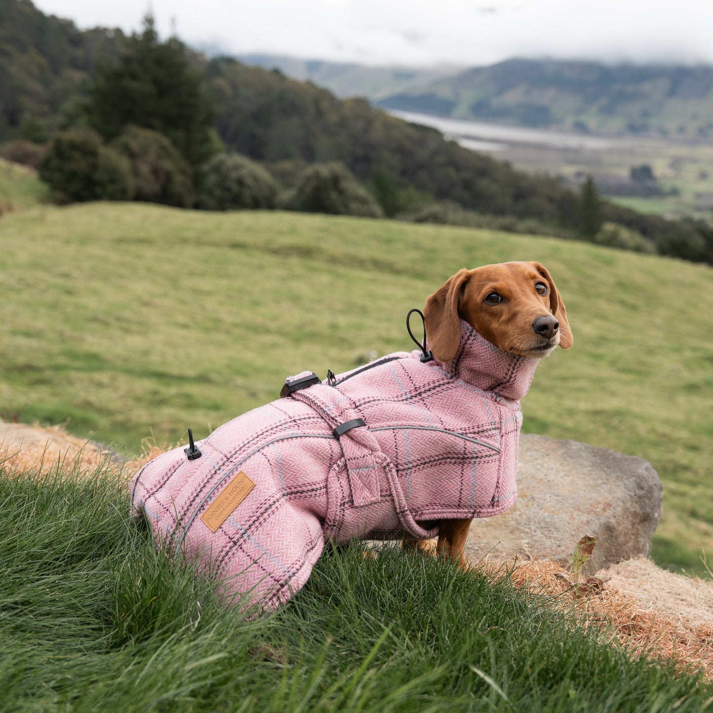 Highland Coat - Pink