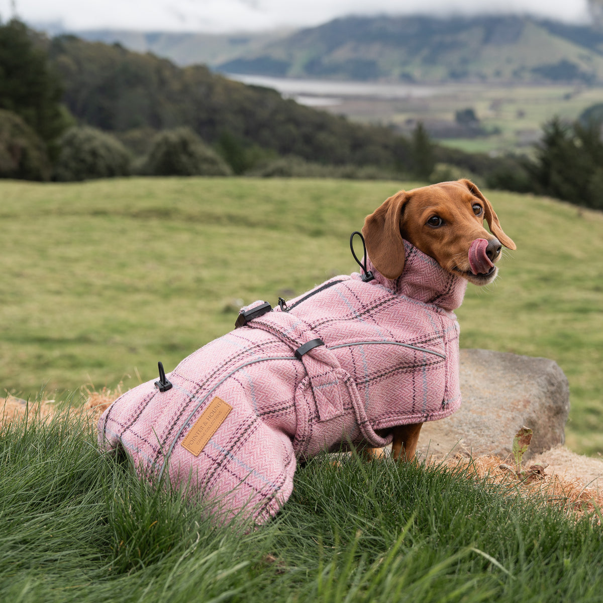 Highland Coat - Pink