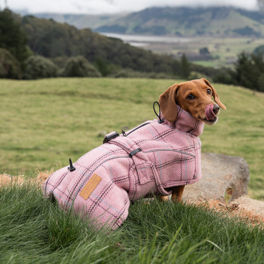 Highland Coat - Pink