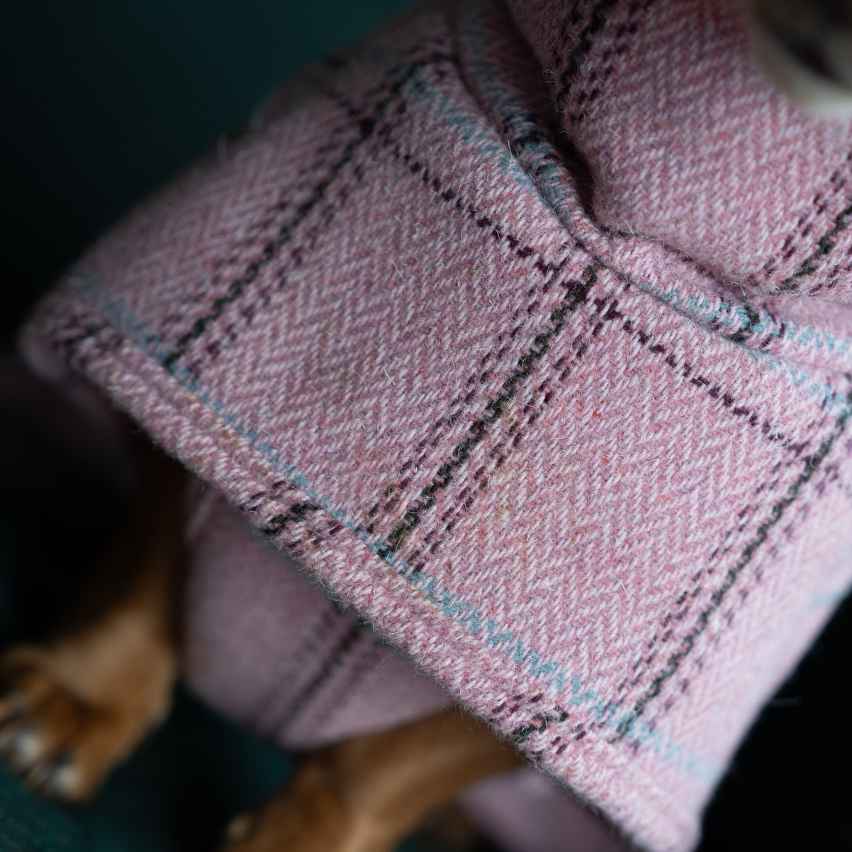 Highland Coat - Pink