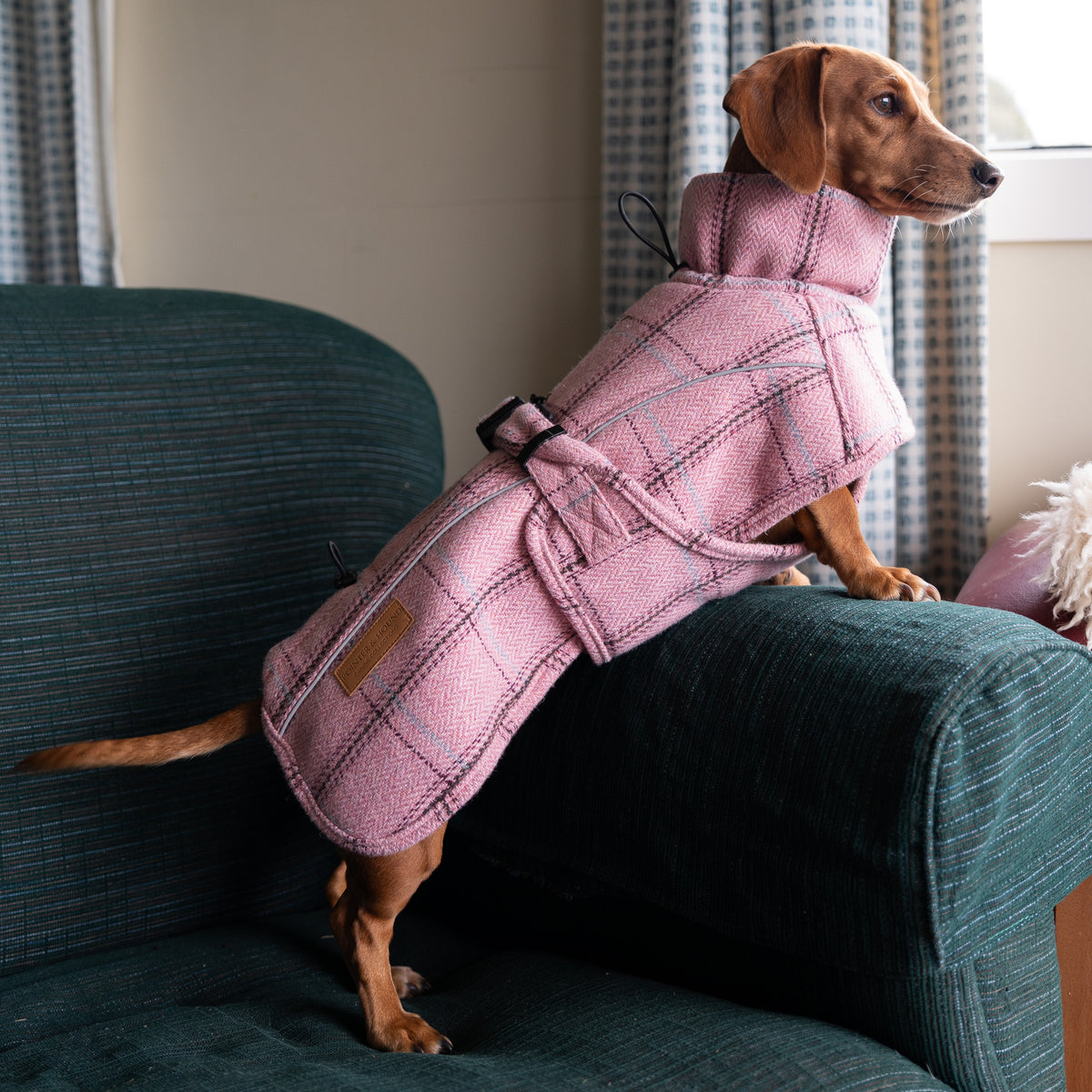 Highland Coat - Pink