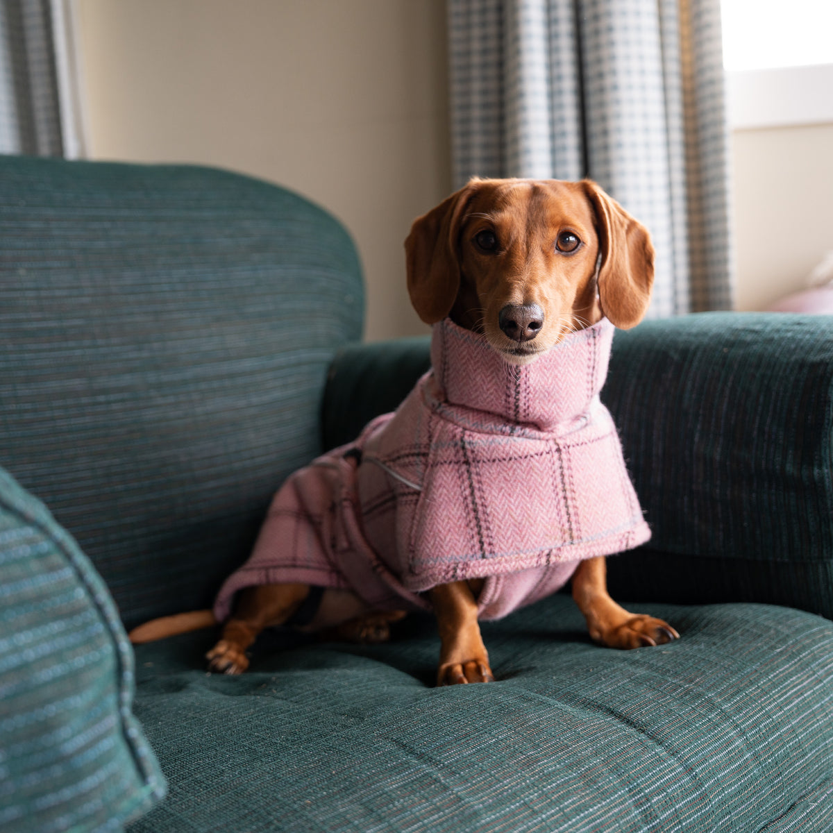 Highland Coat - Pink