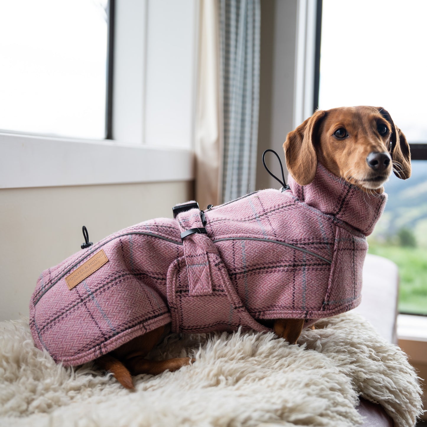 Highland Coat - Pink