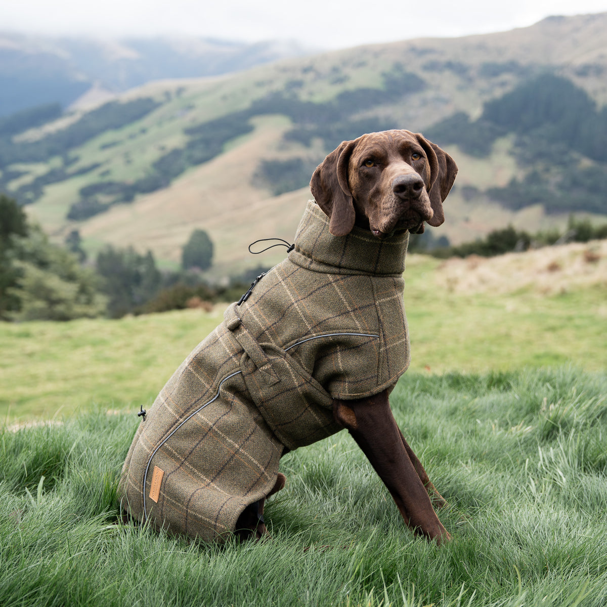 Highland Coat - Olive