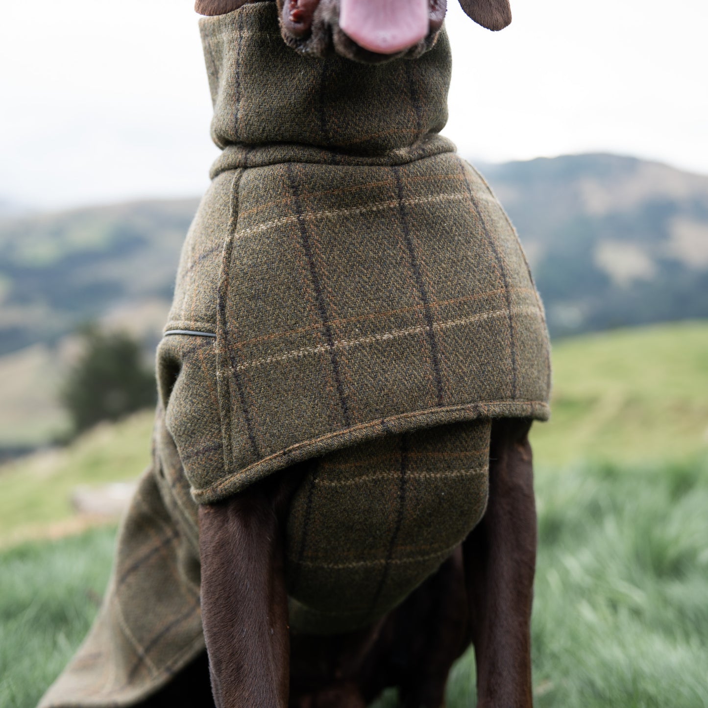 Highland Coat - Olive
