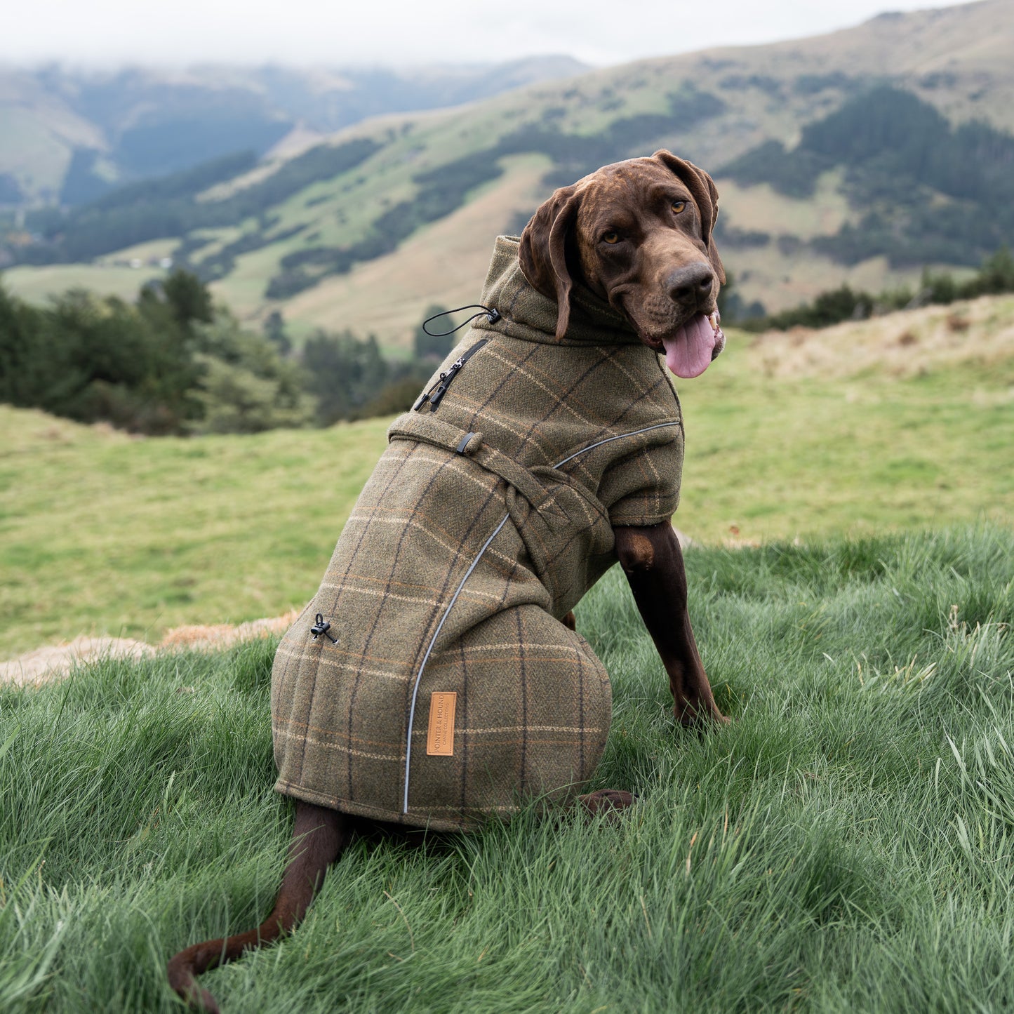 Highland Coat - Olive