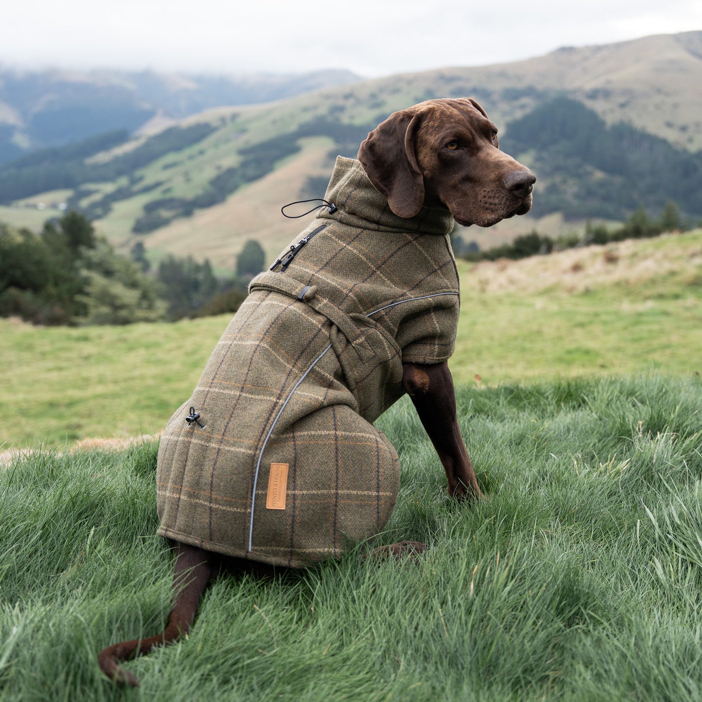 Highland Coat - Olive