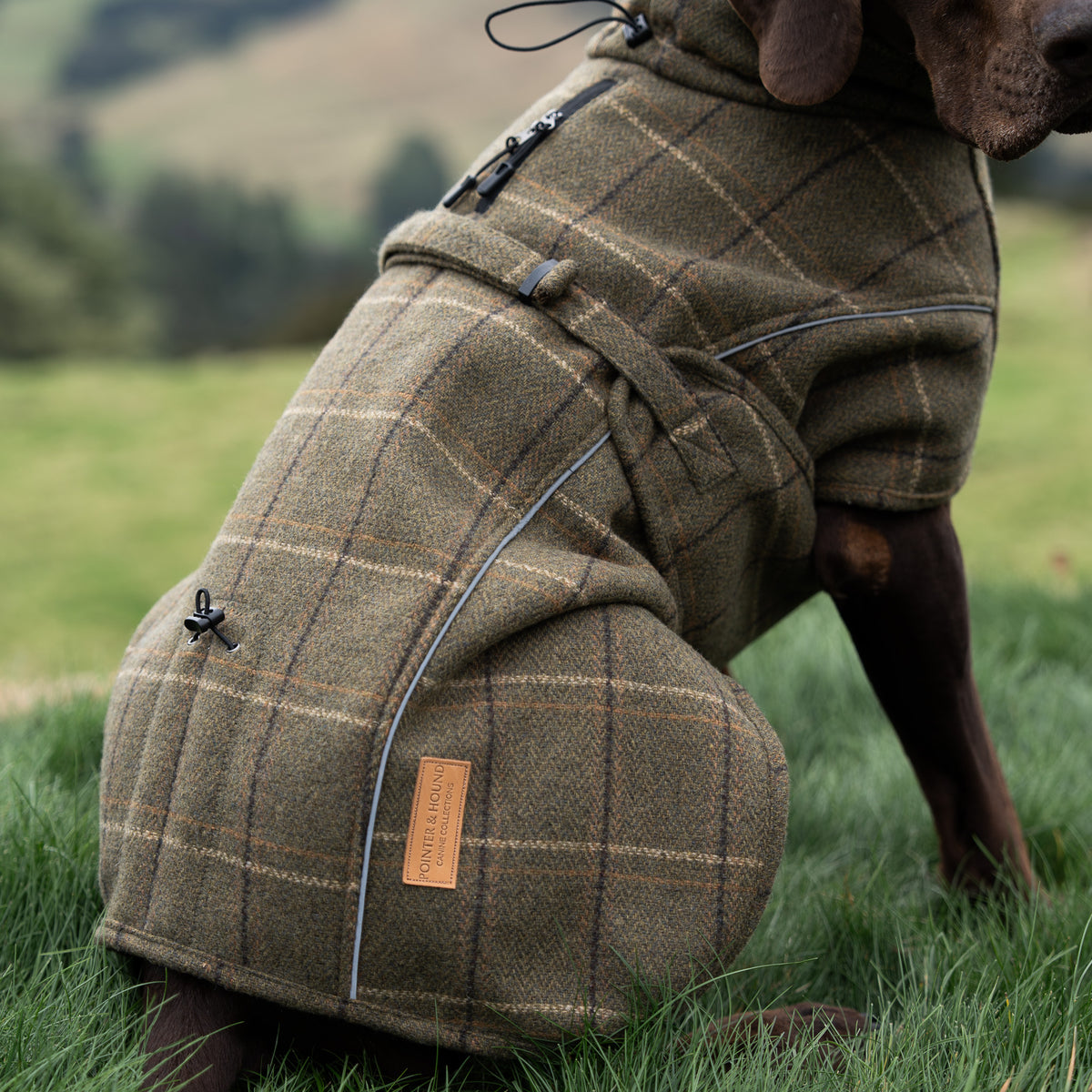 Highland Coat - Olive