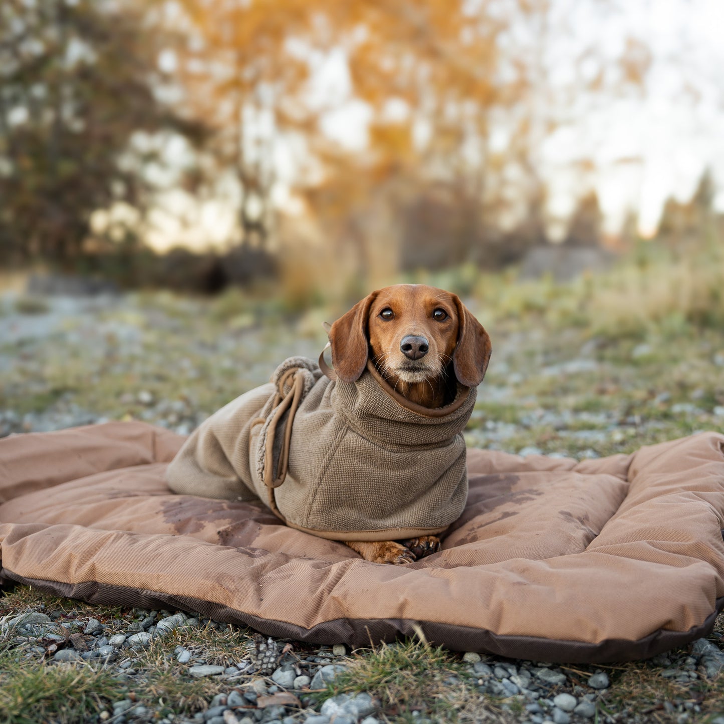 Drying Robe