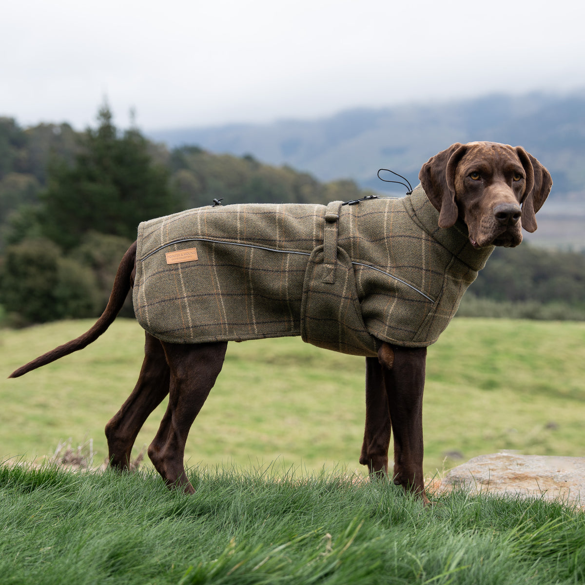 Highland Coat - Olive