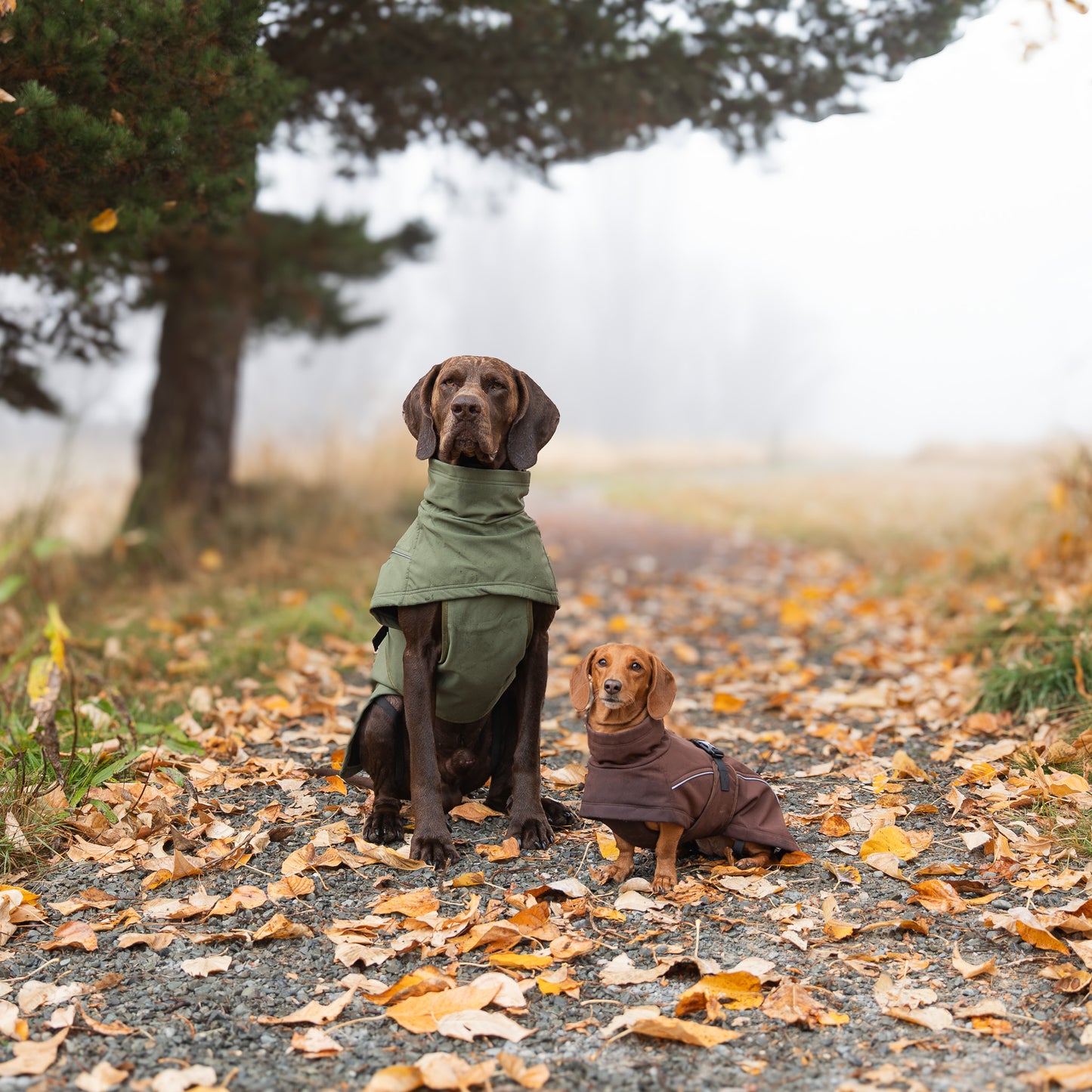 Waterproof Jacket - Green