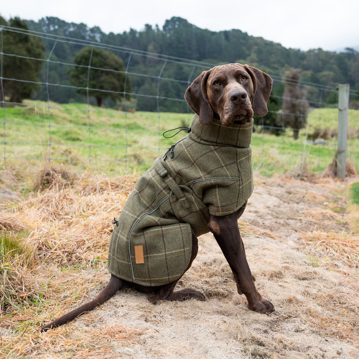 Highland Coat - Olive