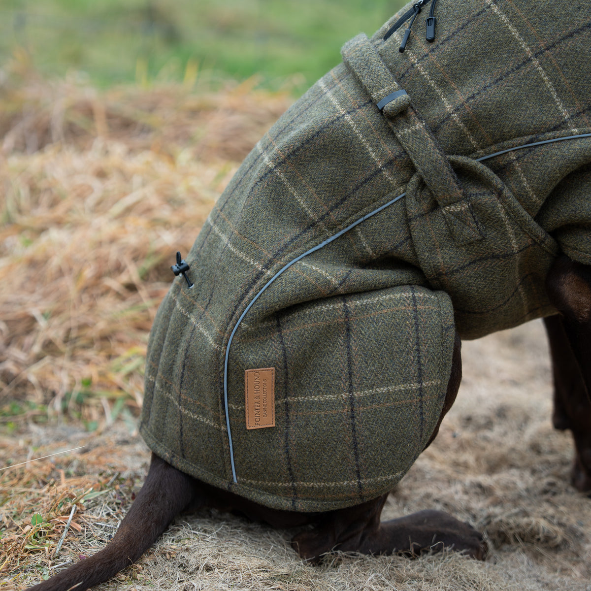 Highland Coat - Olive