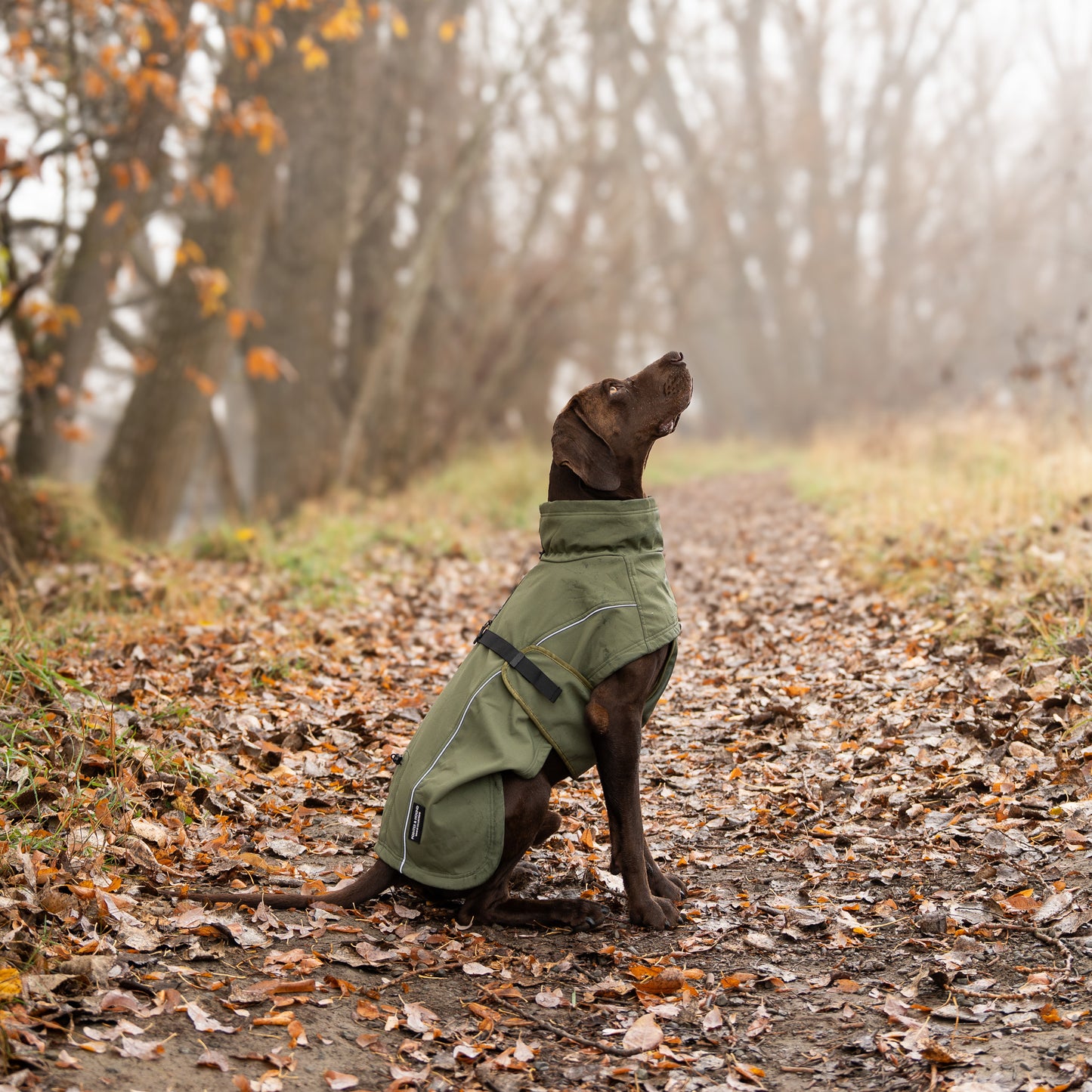 Waterproof Jacket - Green