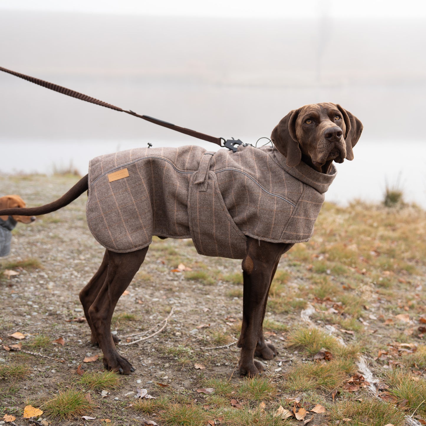 Highland Coat - Brown