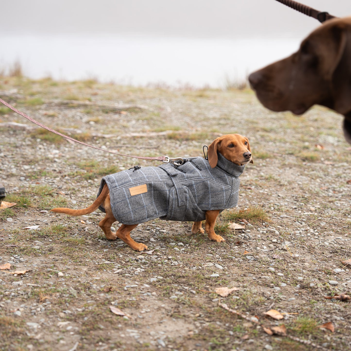 Highland Coat - Grey