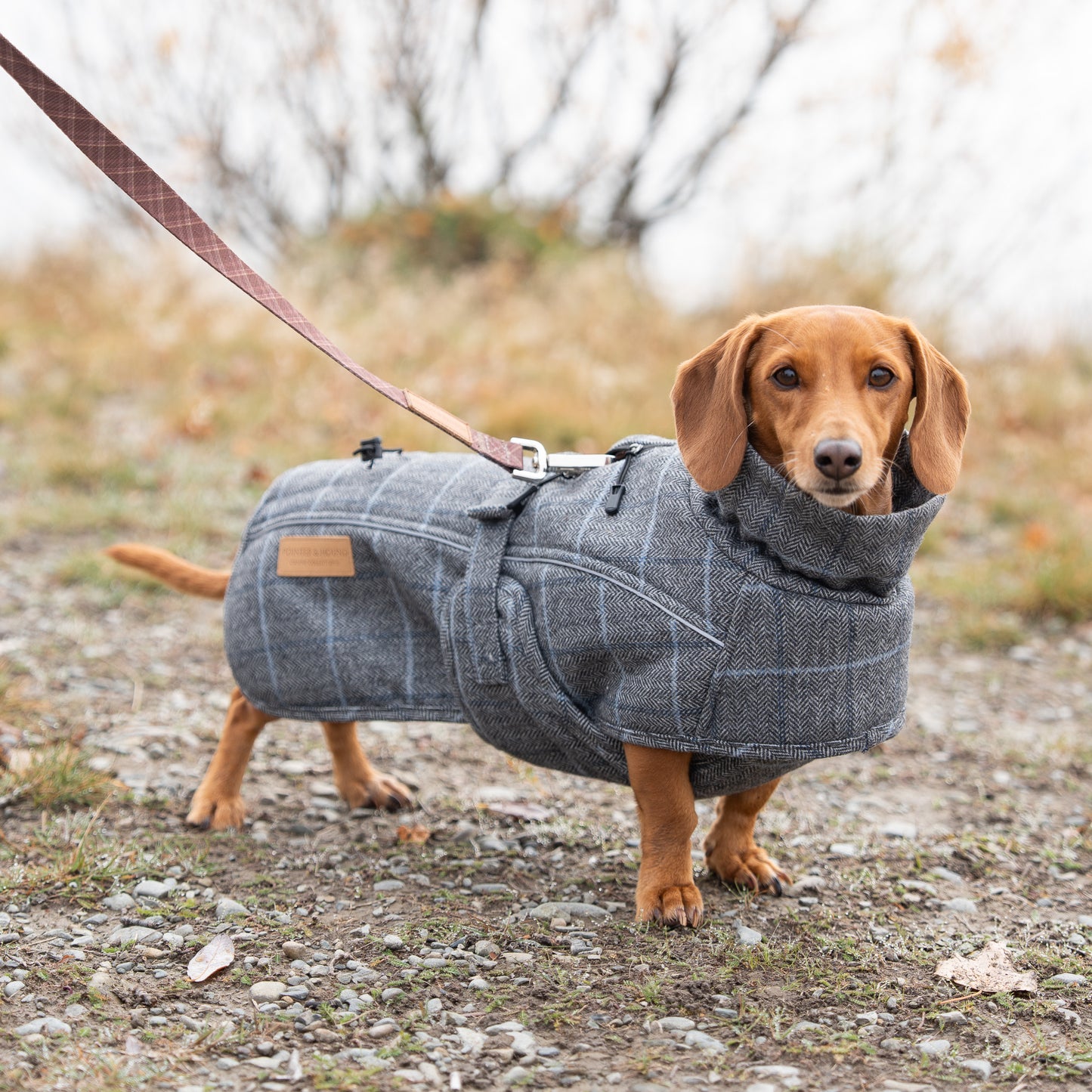 Highland Coat - Grey