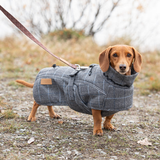 Highland Coat - Grey