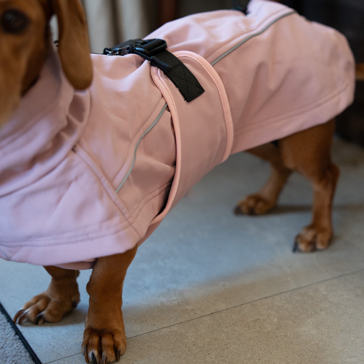 Waterproof Jacket - Pink