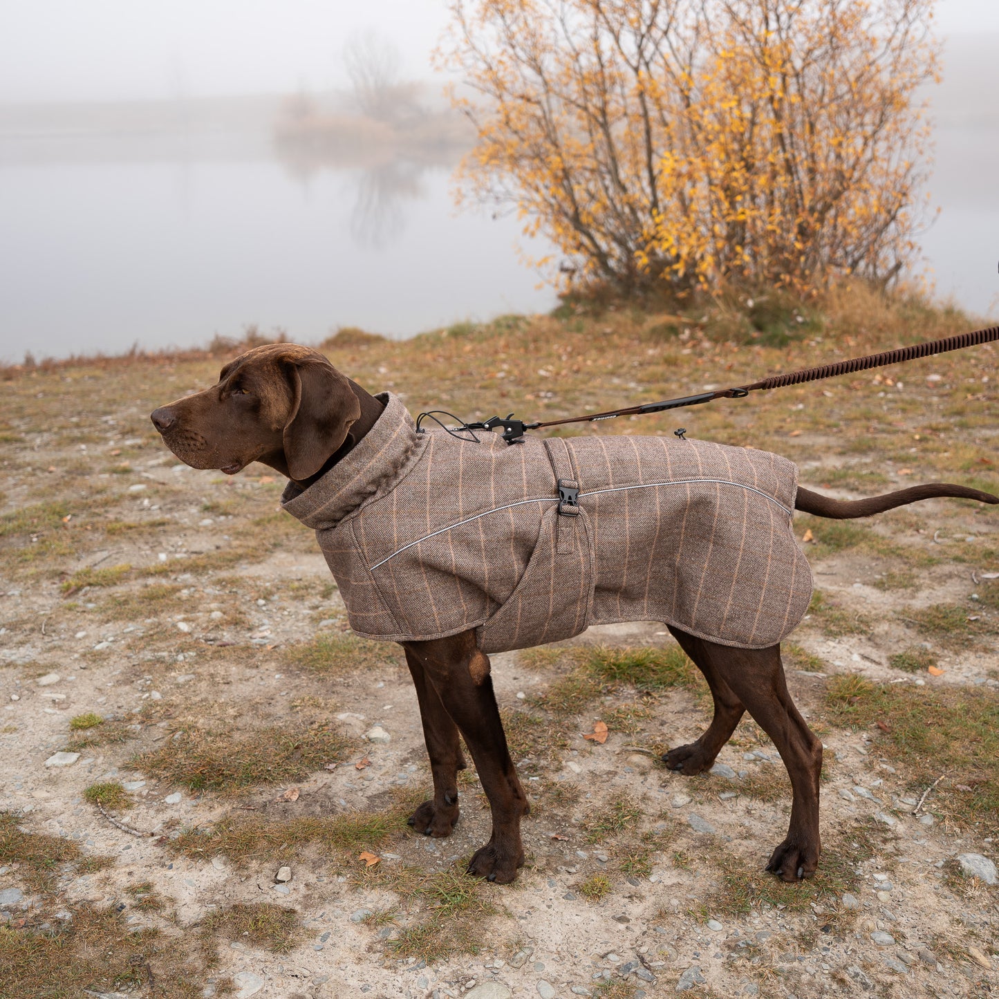 Highland Coat - Brown