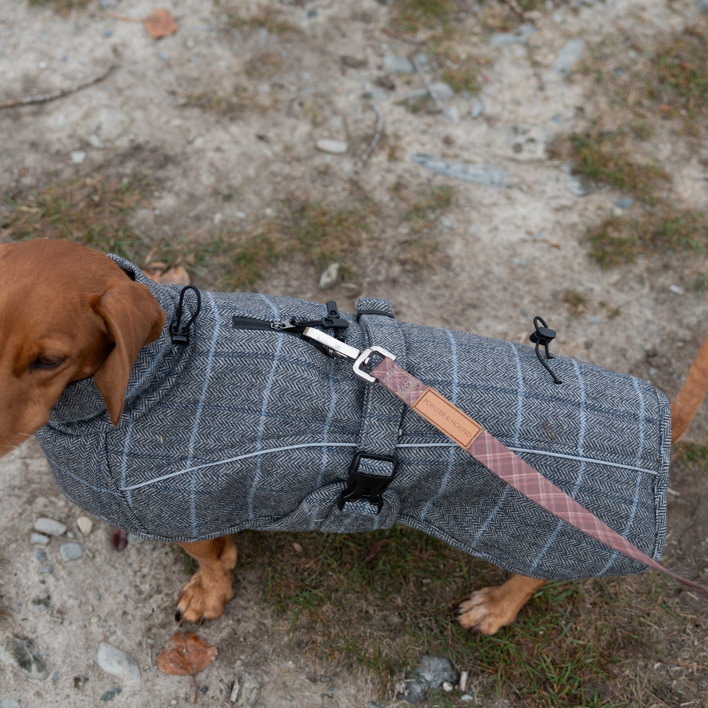 Highland Coat - Grey