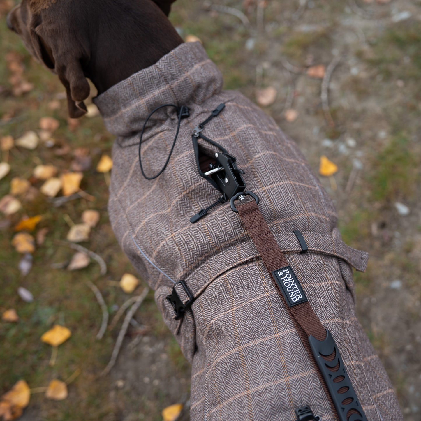 Highland Coat - Brown