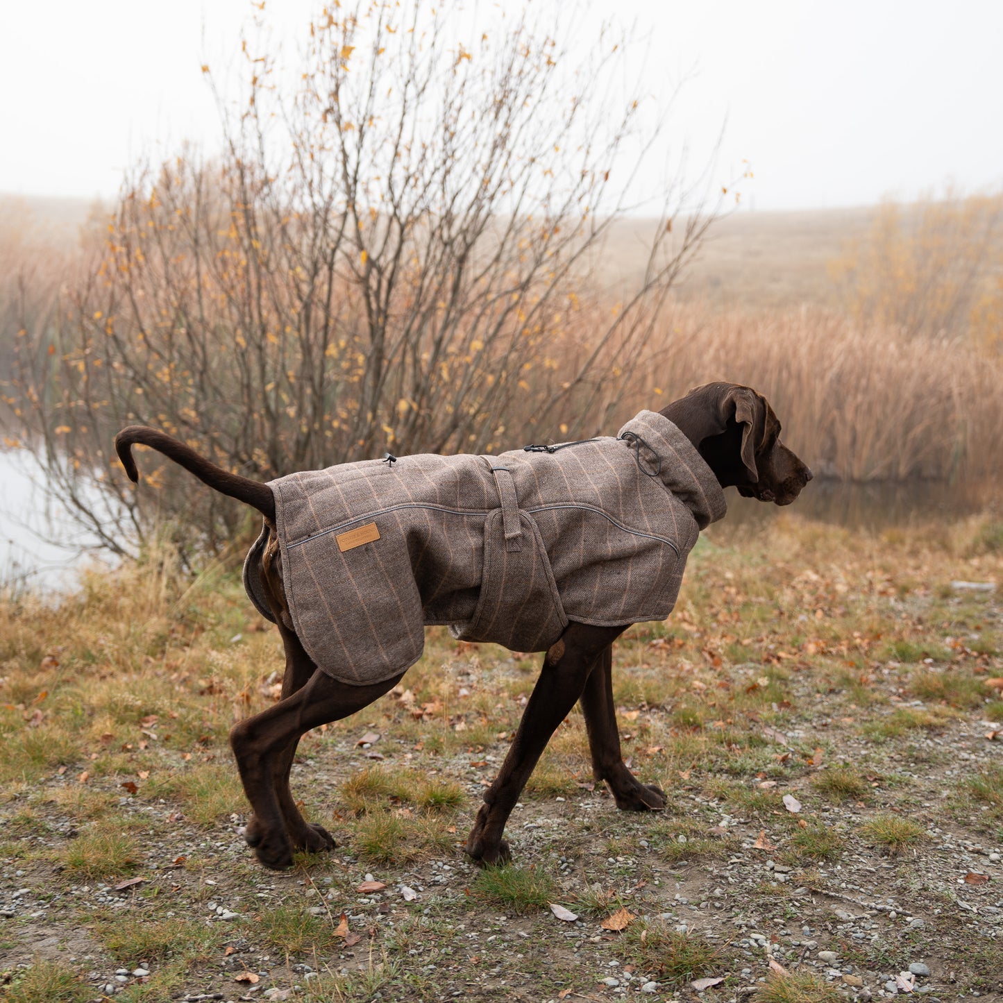Highland Coat - Brown