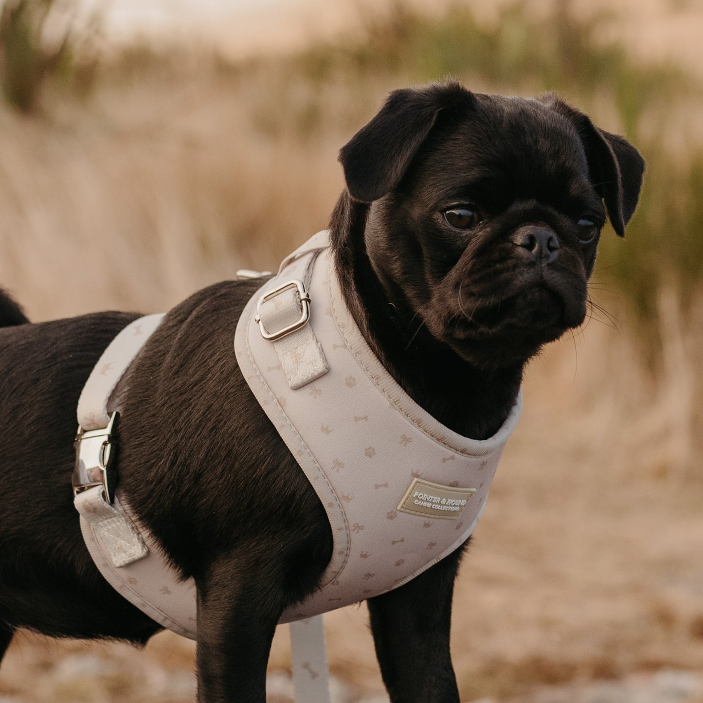 Classic Harness - Maple Print