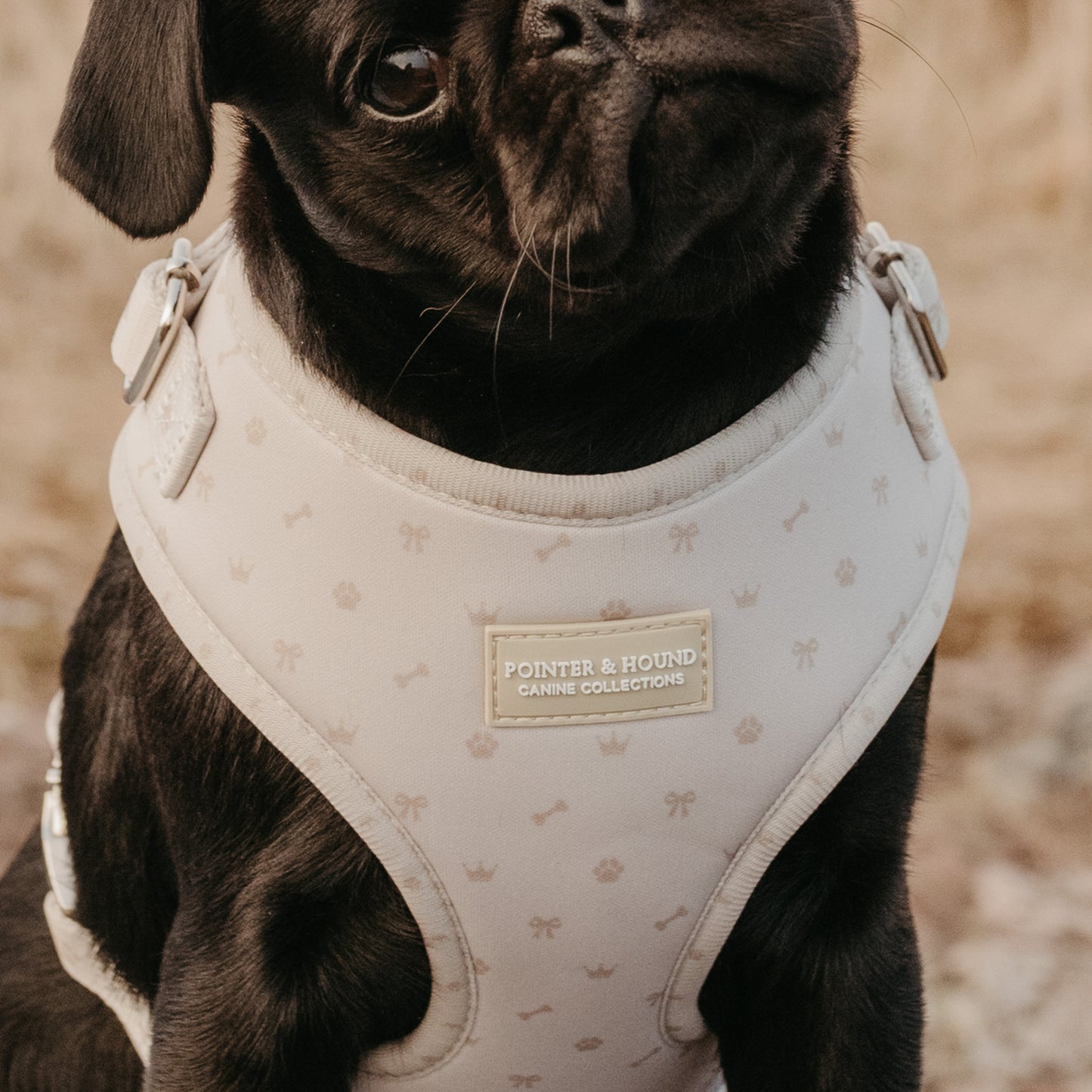 Classic Harness - Maple Print