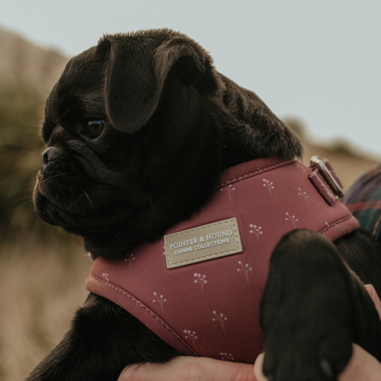 Classic Harness - Flower Print