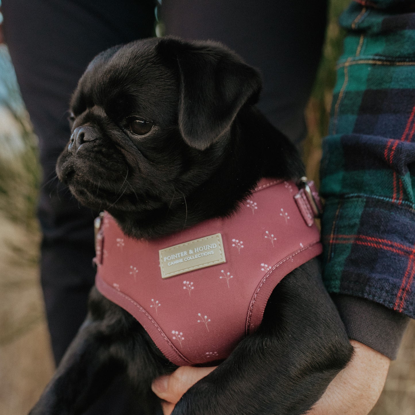 Classic Harness - Flower Print