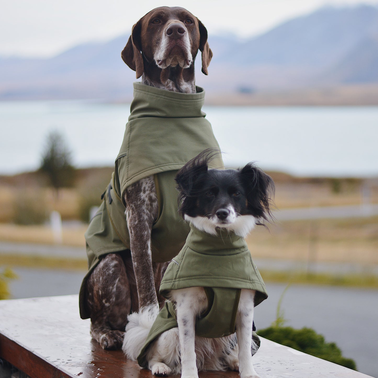 Waterproof Jacket - Green