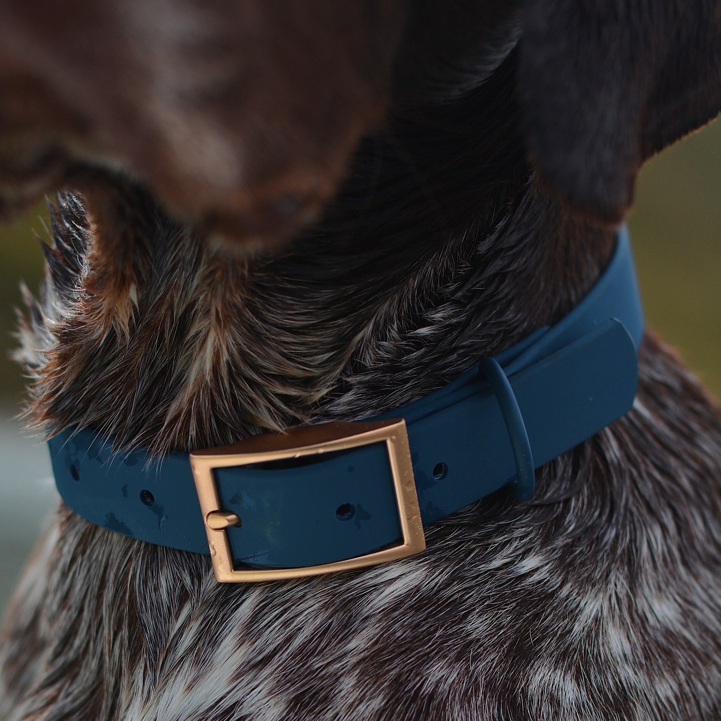 Waterproof PVC Collars