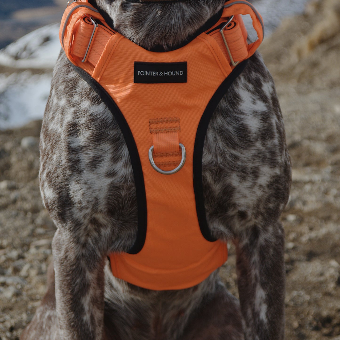 Tactical Harness - Blaze Orange