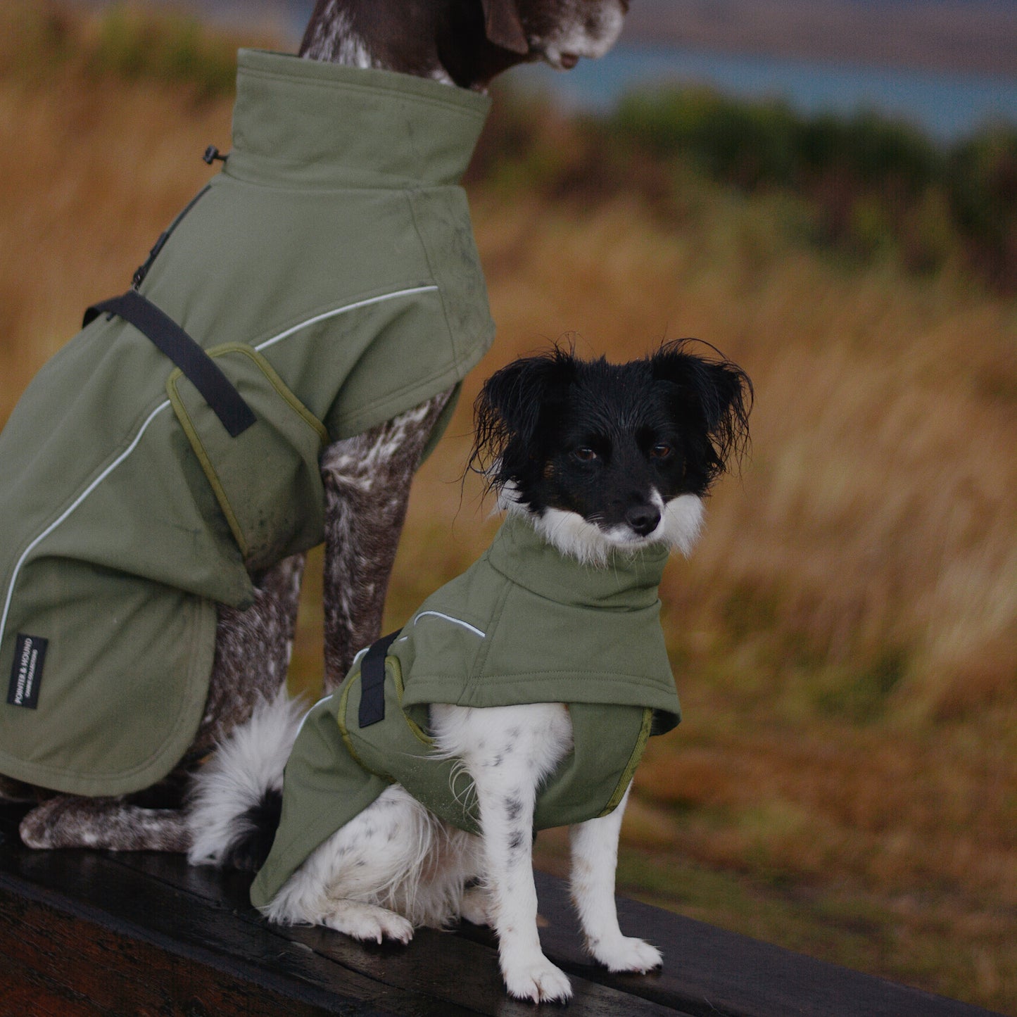 Waterproof Jacket - Green