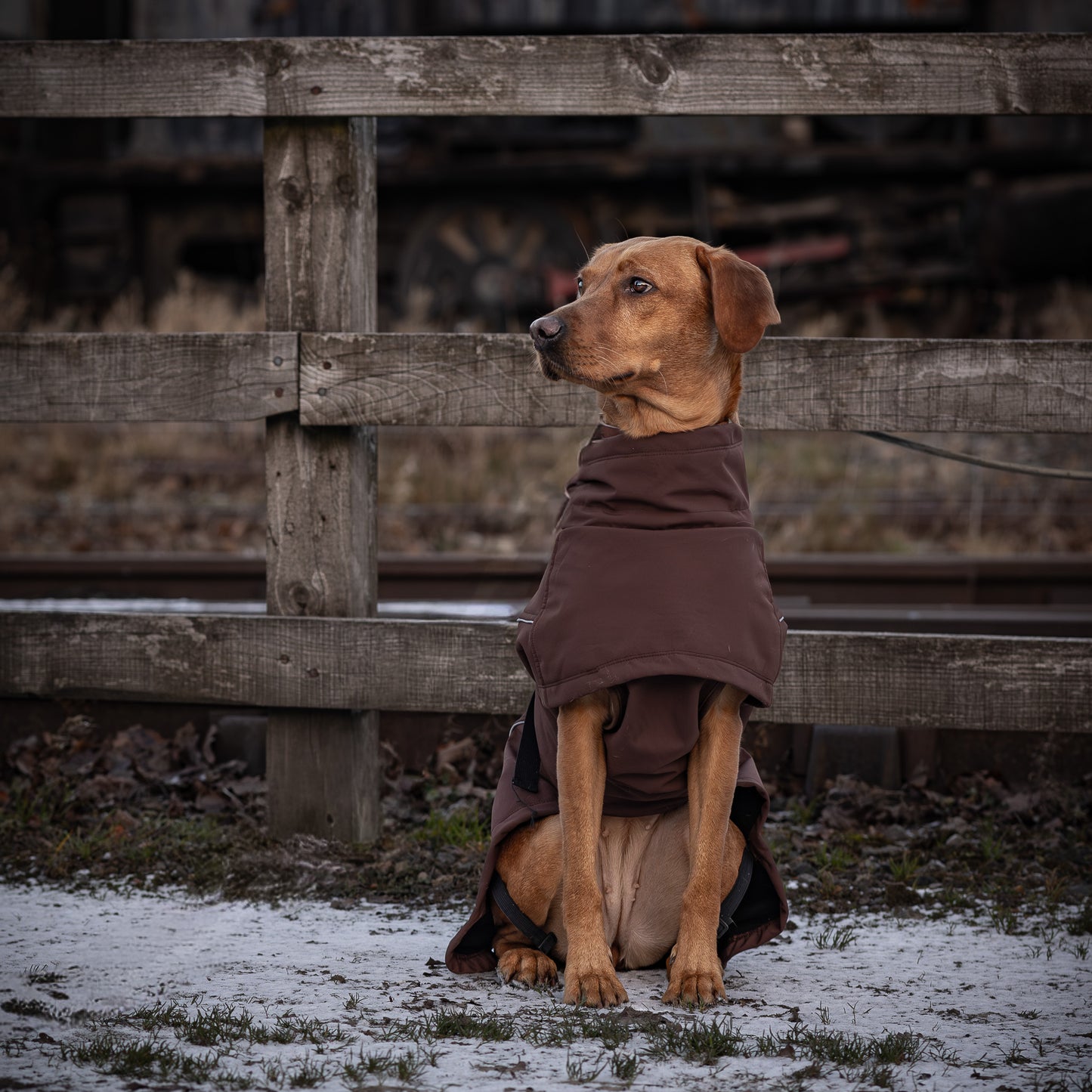 Waterproof Jacket - Maroon