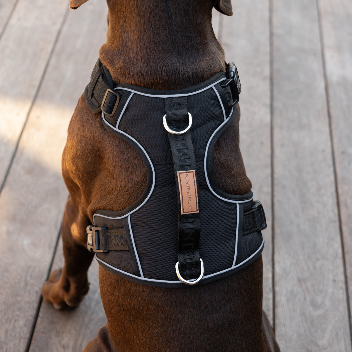 Signature Harness - Black – Pointer & Hound