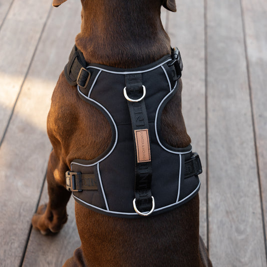 Signature Harness - Black