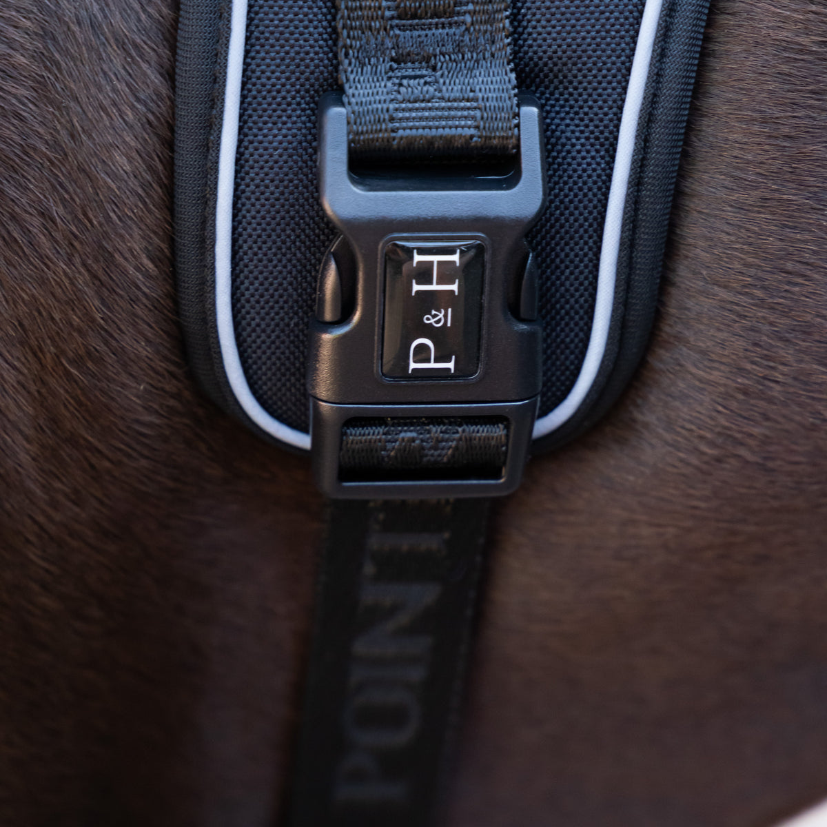 Signature Harness - Black – Pointer & Hound