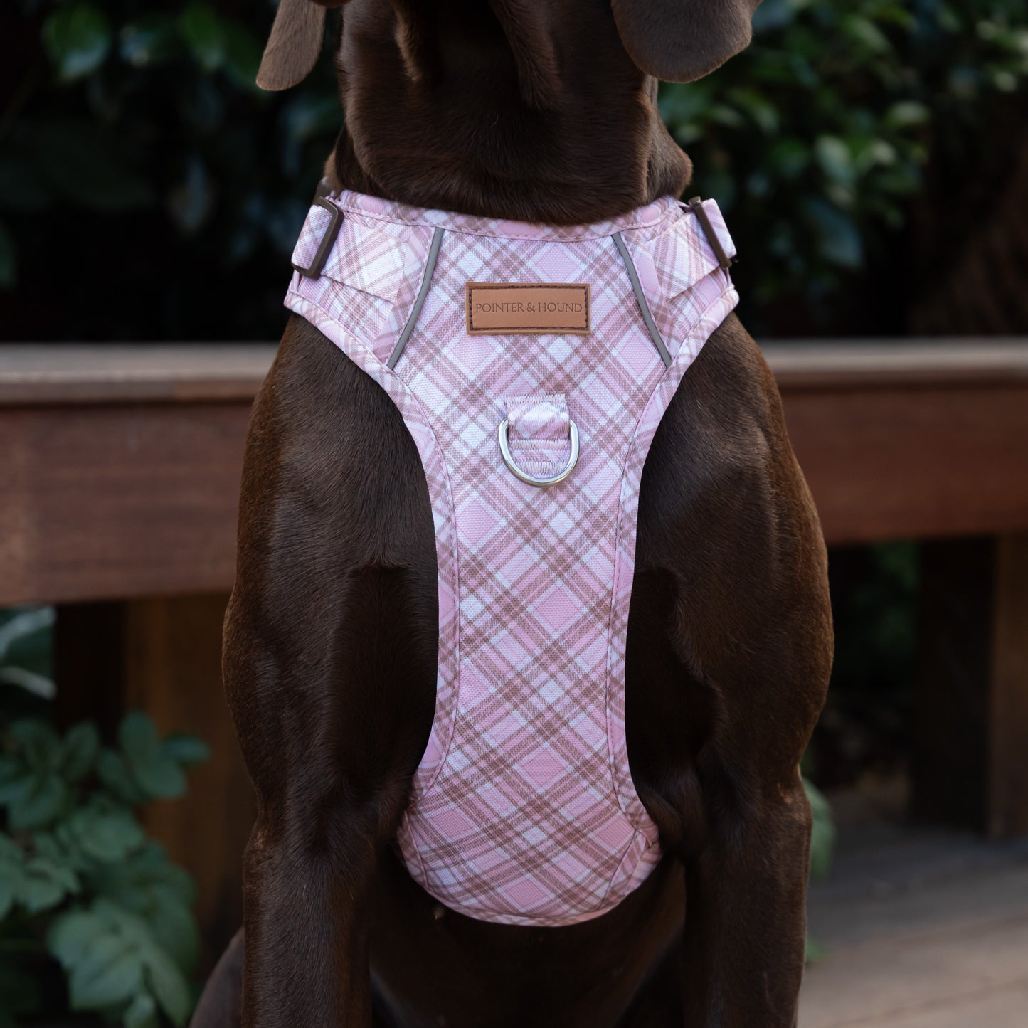 Signature Harness - Pink Tartan