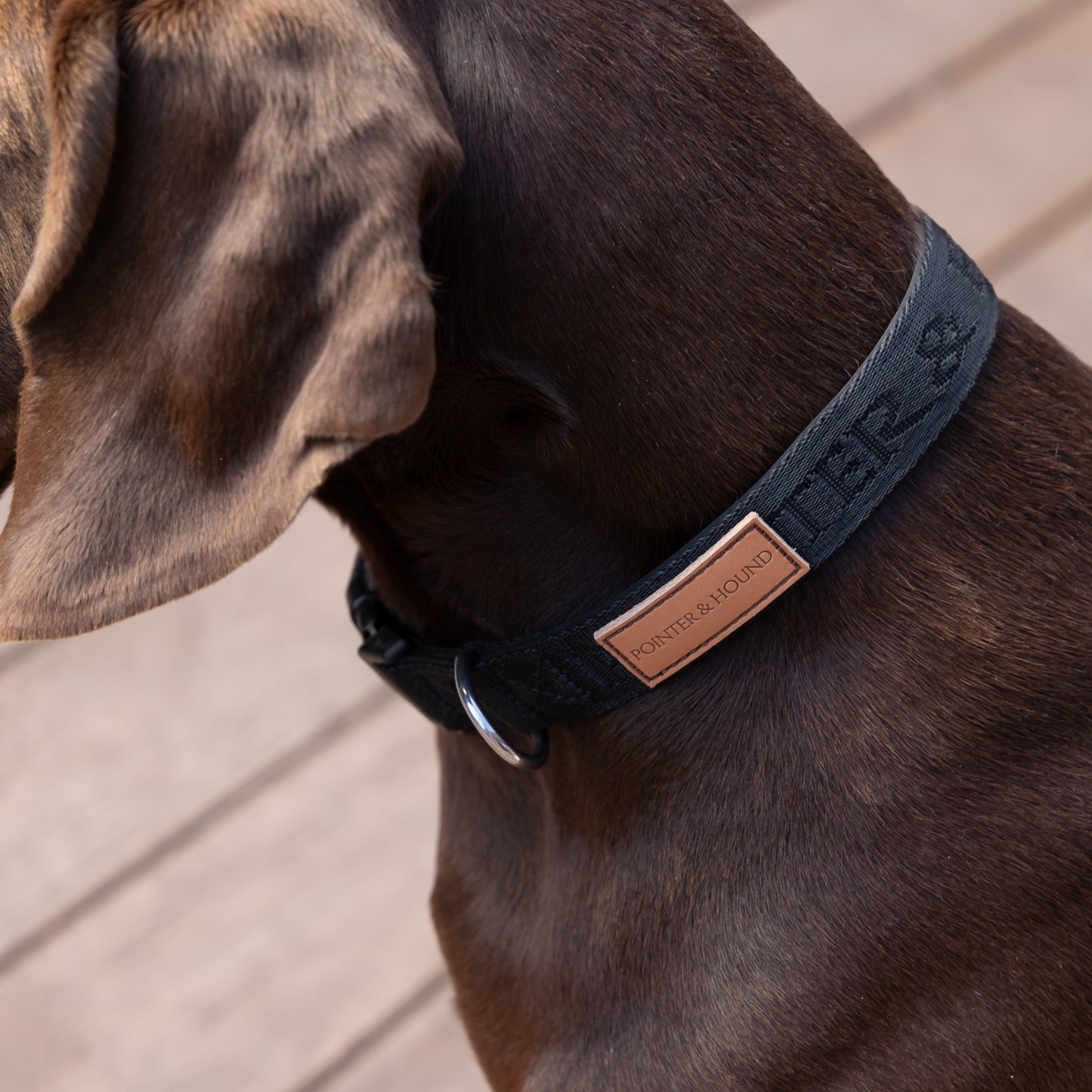 Black Signature Collar