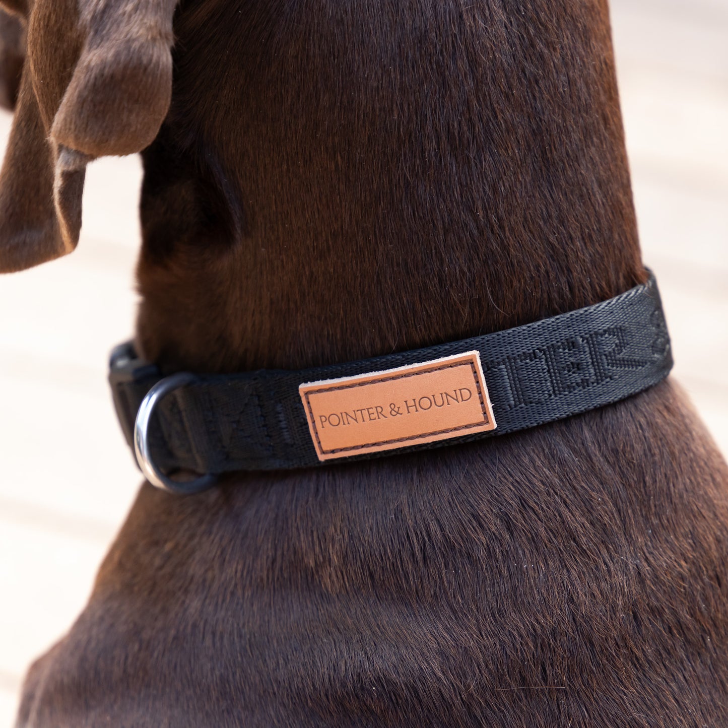 Black Signature Collar