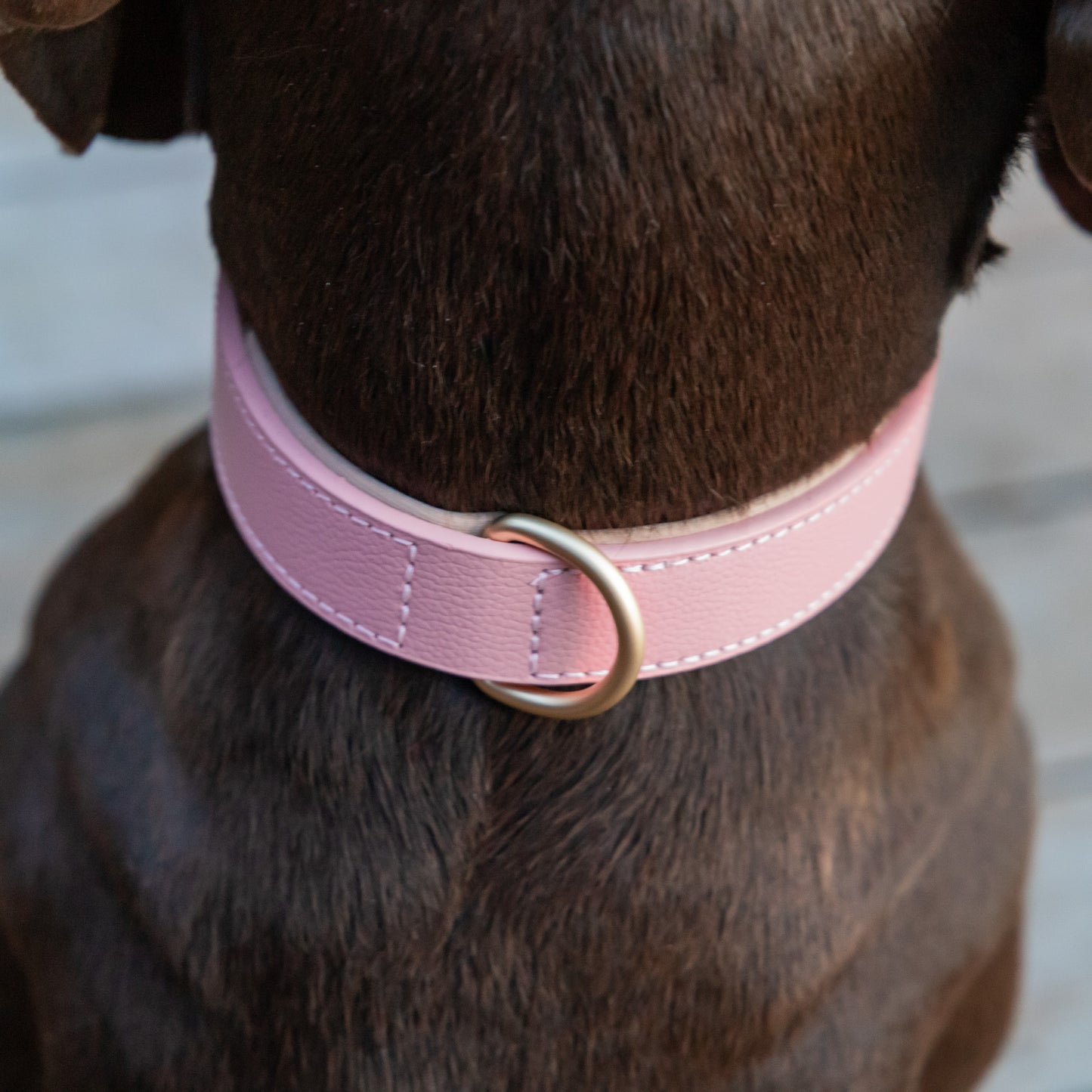 Padded Leather Collars