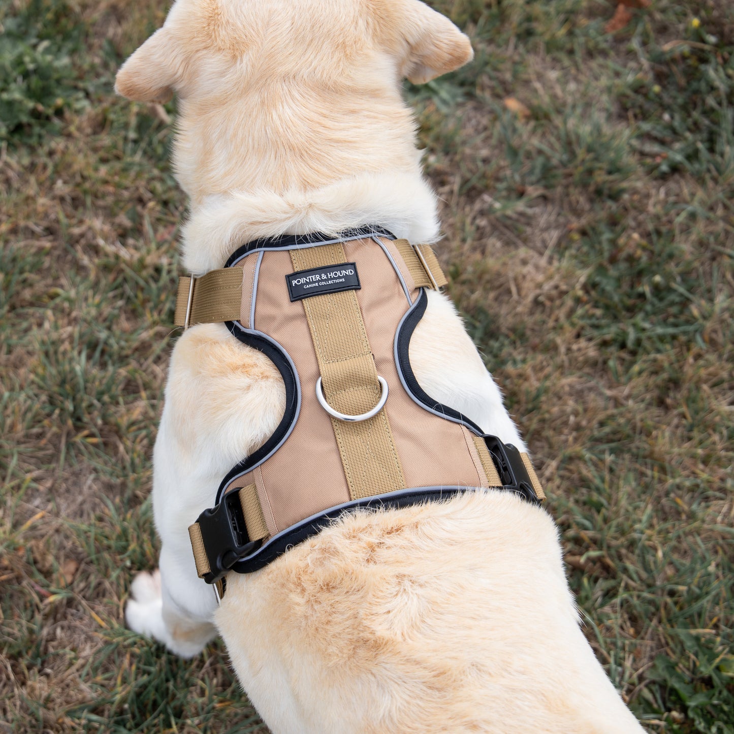 Tactical Harness - Tan