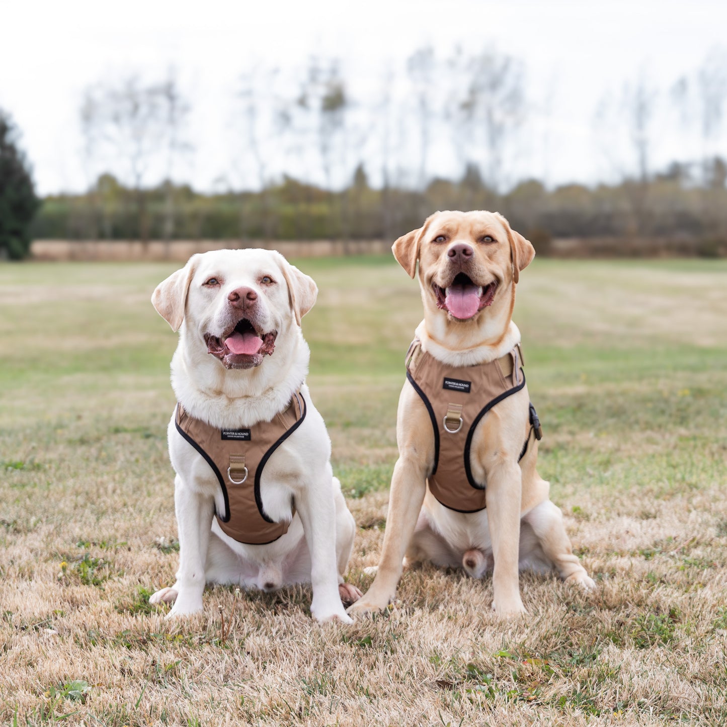 Tactical Harness - Tan